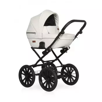 Коляска Riko Basic Aicon Ecco Prestige 2 в 1