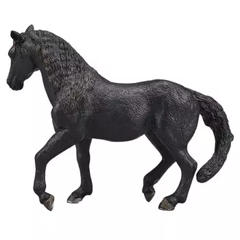 Konik Андалузский жеребец вороной