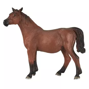 Konik Арабская кобыла жеребая