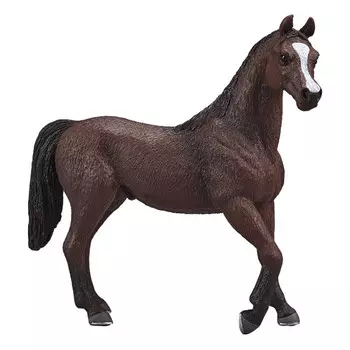 Konik Арабский жеребец гнедой