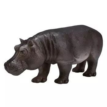 Konik Бегемот самка