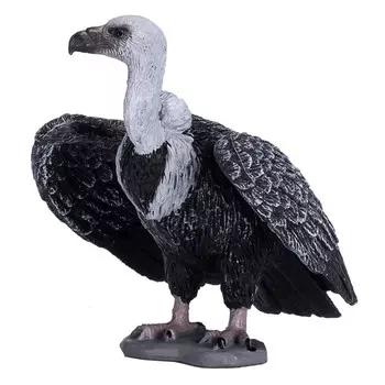 Konik Белоголовый сип