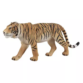 Konik Бенгальский тигр