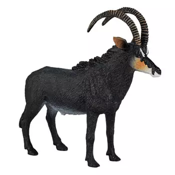 Konik Чёрная антилопа