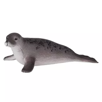 Konik Длинномордый тюлень