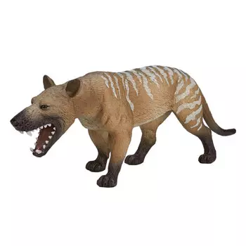 Konik Гиенодон