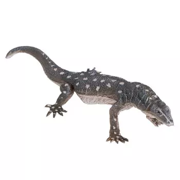 Konik Гигантский варан