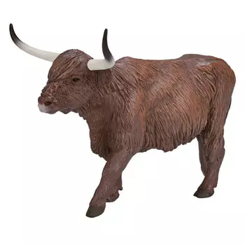 Konik Хайлендская корова AMF1056