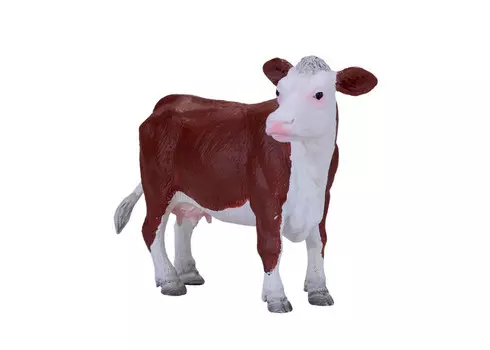 Konik Херефордская корова