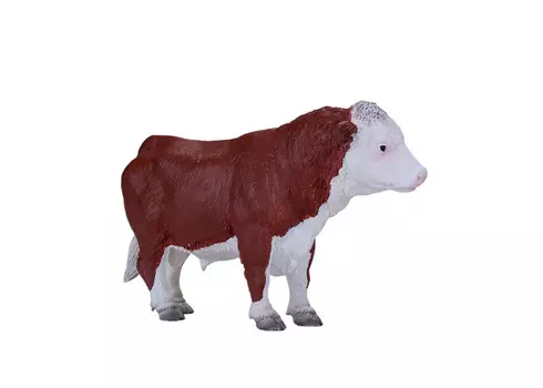 Konik Херефордский бык