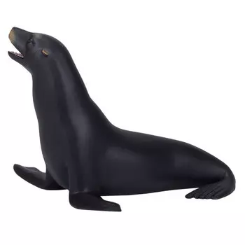 Konik Калифорнийский морской лев