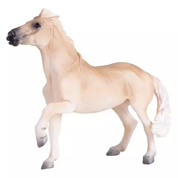 Konik Кобыла Брамби