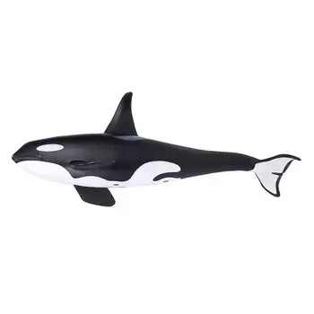 Konik Косатка самка