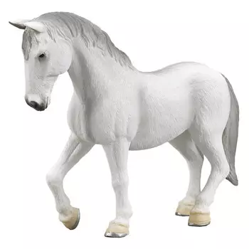 Konik Липпицианская кобыла