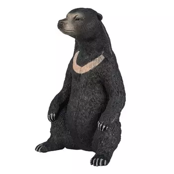 Konik Малайский медведь