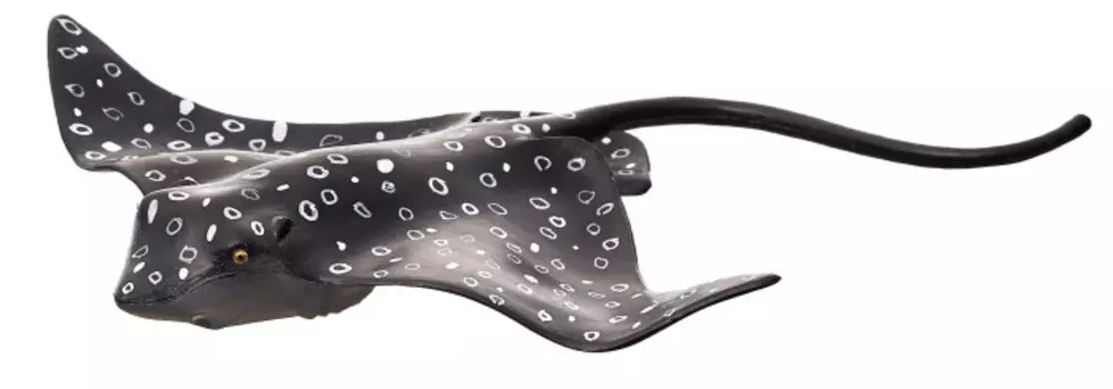 Konik Обыкновенный пятнистый орляк