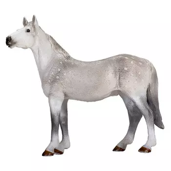 Konik Орловский рысак