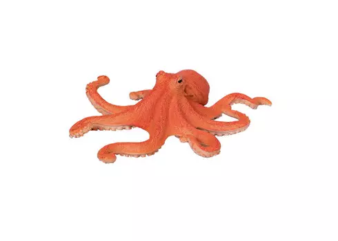 Konik Осьминог AMS3032