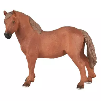 Konik Суффолькская кобыла