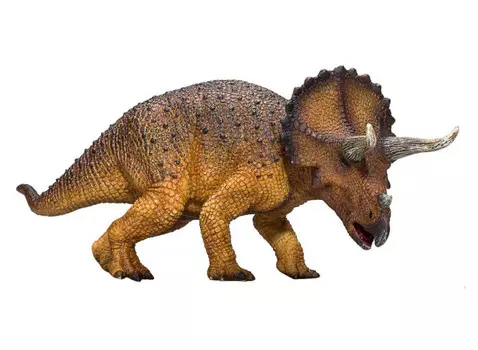 Konik Трицератопс