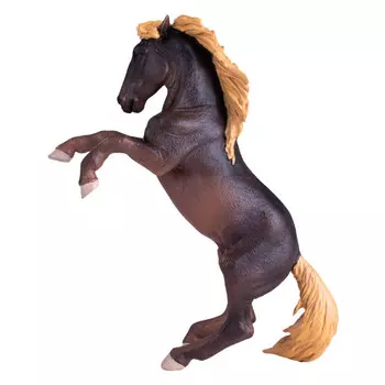 Konik Жеребец Брамби