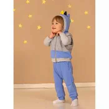 Лапушка Жилет Дино