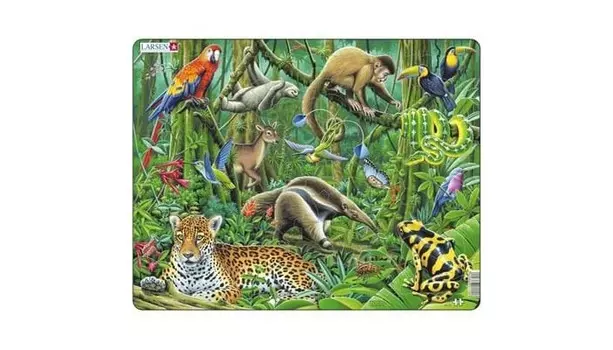 Larsen Пазл Южно-Американские тропики