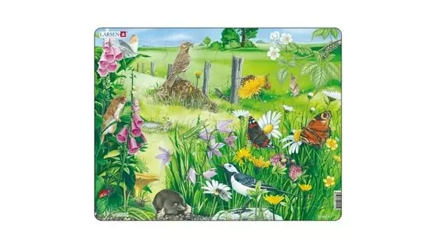 Larsen Пазл Природа