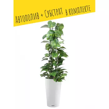 Lechuza Напольное кашпо с автополивом Cilindro Color 23 с субстратом 41х23х23 см 5.5 л