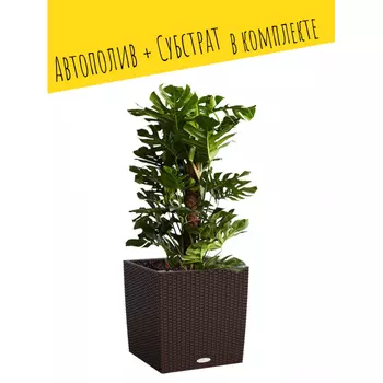 Lechuza Напольное кашпо с автополивом Cube Cottage 40 с субстратом 39.5х39х39 см 31 л