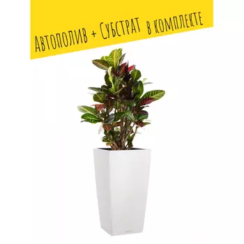 Lechuza Напольное кашпо с автополивом Cubico Color 30 с субстратом 56х30х30 см 14 л