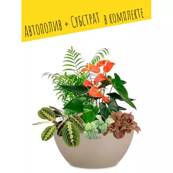 Lechuza Настольное кашпо с автополивом Cubeto 30 с субстратом 30х30х13.5 см 4.5 л