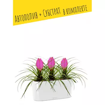 Lechuza Настольное кашпо с автополивом Delta 10 с субстратом 30х13х11 см 2 л