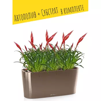 Lechuza Настольное кашпо с автополивом Delta 20 с субстратом 40х18х15 см 5 л