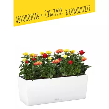 Lechuza Подвесное кашпо с автополивом Balconera Color 50 с субстратом 50х19х19 см 8 л