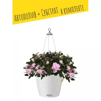 Lechuza Подвесное кашпо с автополивом Nido Cottage с субстратом 27х23 см 6 л