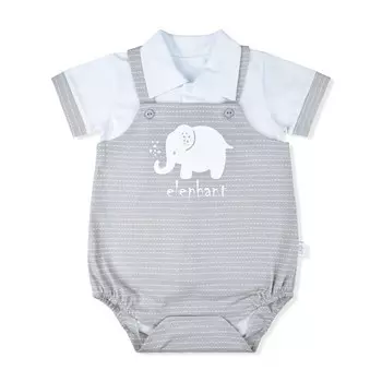 Leo Комплект (футболка, песочник) Слоненок