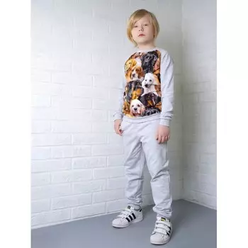 Leo Костюм Собачки