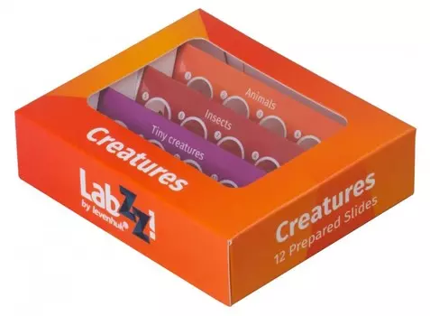 Levenhuk Набор микропрепаратов LabZZ C12 (существа)