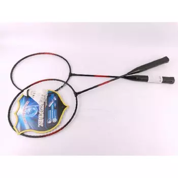 ЛимПоПо Ракетки для бадминтона 9301 в сетке