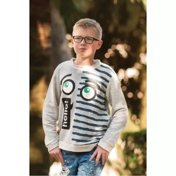 LP Collection Джемпер для мальчика 110-0003