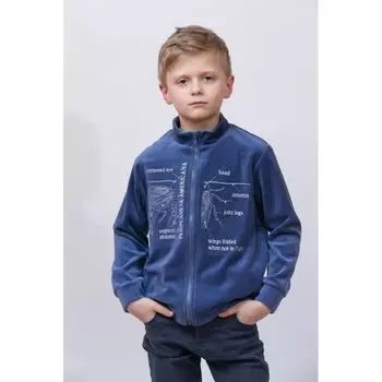 LP Collection Толстовка для детей 110-0013