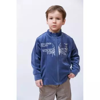 LP Collection Толстовка для детей 110-0017