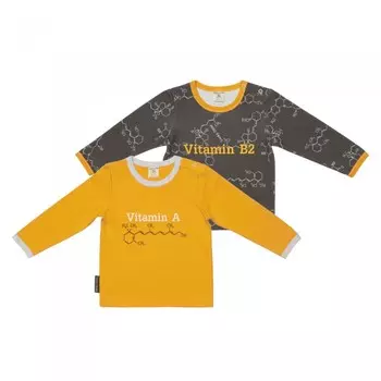 Lucky Child Комплект детский футболка Витамин 2 шт. 38-20