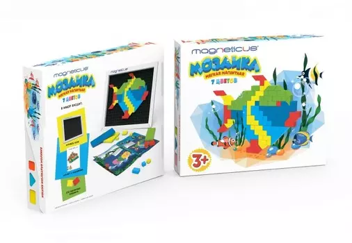 Magneticus Мозаика магнитная 252 элементов