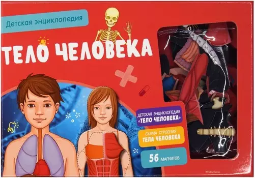 Махаон Детская энциклопедия Тело человека