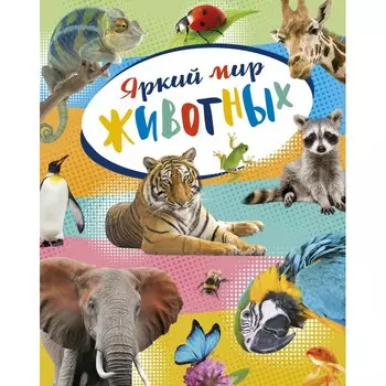 Махаон Энциклопедия Яркий мир животных