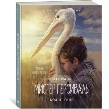 Махаон Штормик и мистер Персиваль