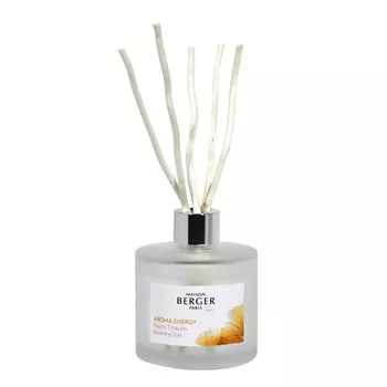 Maison Berger Аромадиффузор Энергия 180 мл