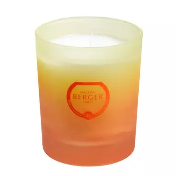 Maison Berger Ароматическая свеча Coco Monoi